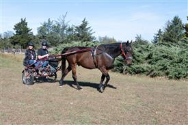 LR-WRF 10182025 Retreat-6474